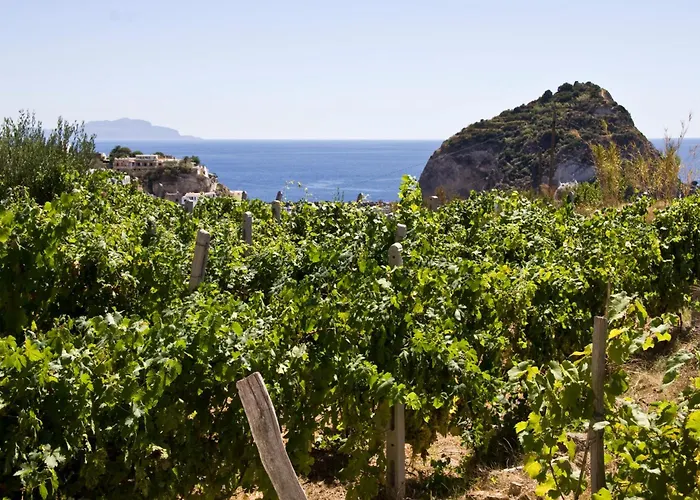 Mario Sant'Angelo (Isola d'Ischia)
