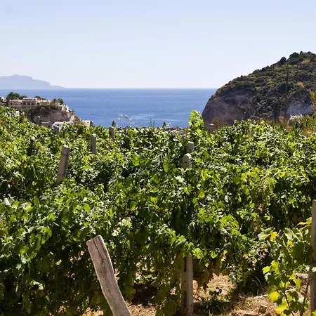 Mario Sant'Angelo (Isola d'Ischia)