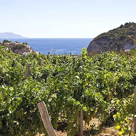 Mario 3* Sant'Angelo (Isola d'Ischia)